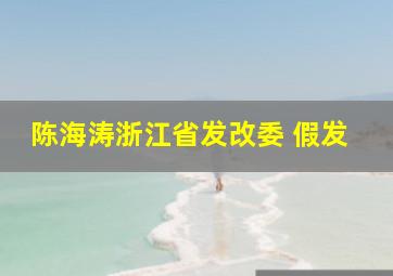 陈海涛浙江省发改委 假发